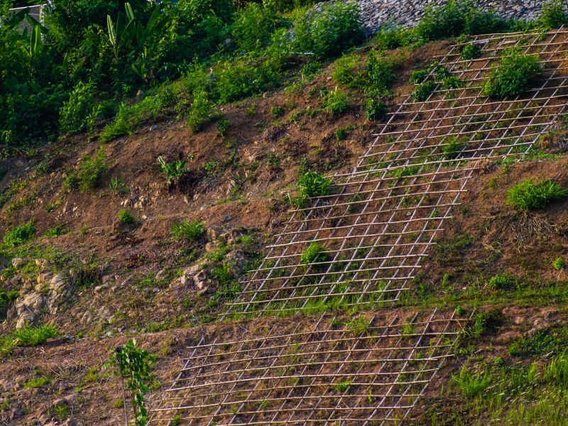 Regrowth Prevention Measures