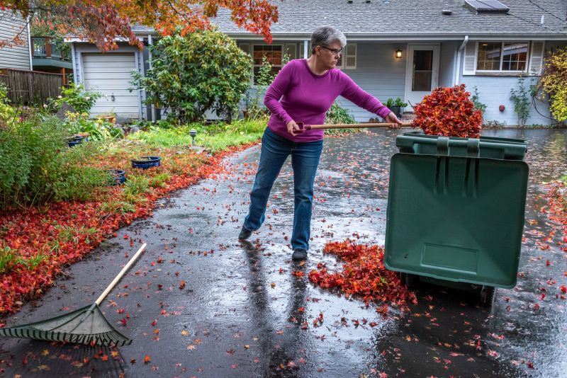 Clean Lawn After Fall Cleanup
