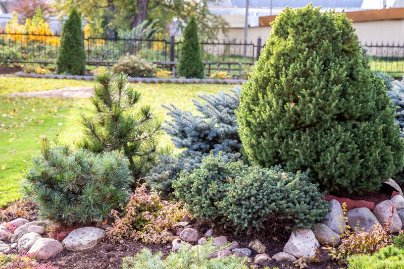 Neatly Trimmed Evergreen Shrubs