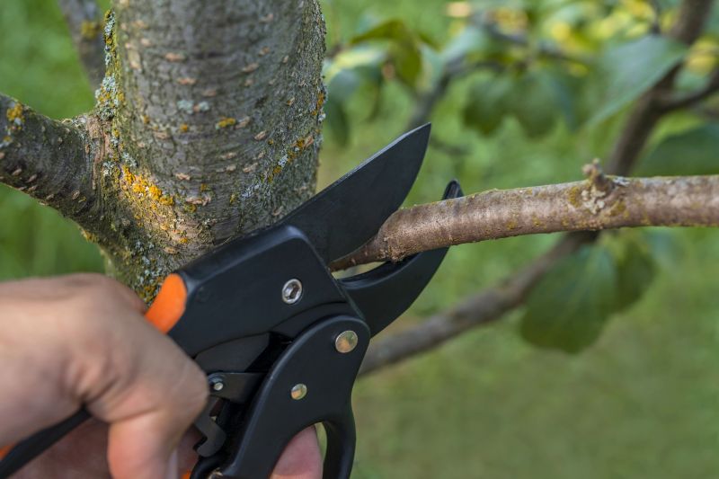 Detail Pruning
